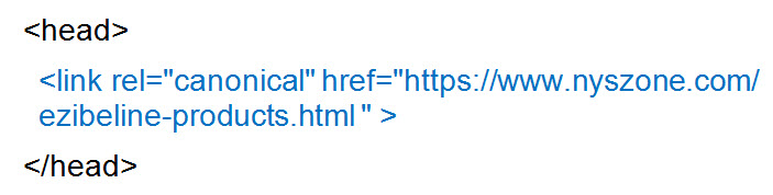 An example of the canonical link element