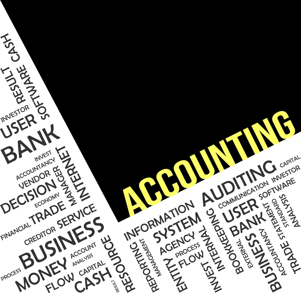 business accounting software's components