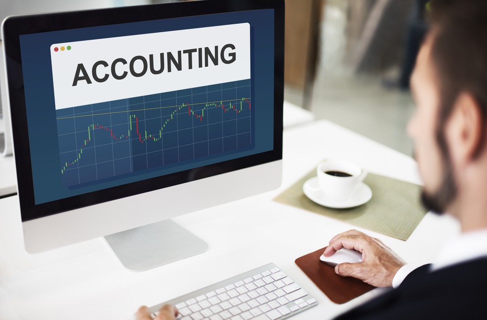 Main categories of the accounting software systems