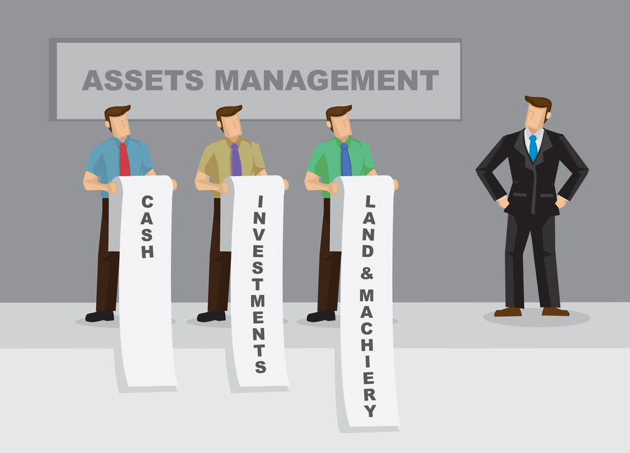 asset management software